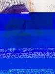 11256519_10153275172644812_1106127843_n.jpg