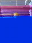 11292011_1866840250208036_1960395043_n.jpg