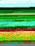 IMG-20141231-WA0018.jpg