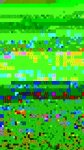 DSC09307-1.jpg