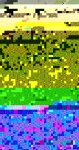 DSC09194-1.jpg