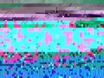 20151221_184043_1451229924090_1.JPG