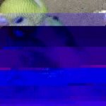 1170756_125843401125410_8480200026117044061_n.jpg