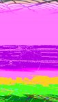 20160517_075605-min.jpg