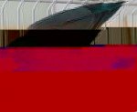 13625229_496954787168490_890011568_n.jpg