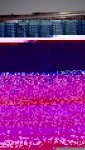 13770449_945157865612032_3581535082019937579_n.jpg
