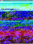 IMG-20160805-WA0002.jpg
