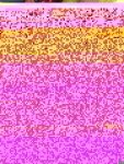 14329982_10208955957989059_8492564135971314848_n.jpg