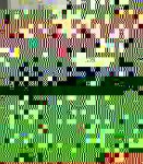 IMG-20160923-WA0017-240x275.jpg