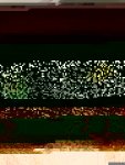 14725738_10209258363148999_6165001920487512022_n.jpg