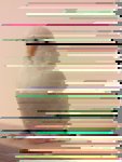 RenderedContent-AF31E469-F0B5-4DFF-A41E-36F28F6FD575.JPG