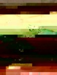 IMG_20170212_143743-312x416.jpg