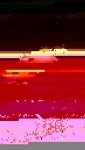 IMG-20170305-WA0003.jpg