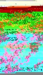 IMG-20170328-WA0001.jpg