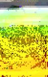 IMG-20170605-WA0056_401x640.jpg
