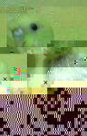 15001543670821007942822-min-1.jpg
