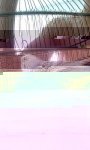 20206020_1945551579023810_18236884_n.jpg