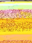 21616128_10209783274367128_2480888599393491222_n.jpg