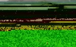 IMG_20170923_085644.jpg