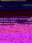 IMG-20171120-WA0005-900x1199-450x600.jpg