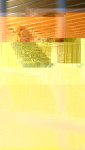 26195371_10156113003102340_8785287372340223807_n.jpg