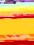 1 (2)_450x600.jpg