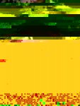 WhatsApp Image 2018-10-25 at 22.13.28_450x600.jpeg