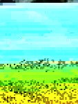 WhatsApp Image 2018-10-25 at 22.13.28 (1)_450x600.jpeg