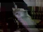 Snapshot2-min.jpg