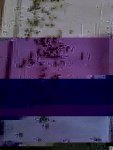 56169824_134248324301263_3455453772640157696_n.jpg