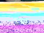 1 (2).jpeg