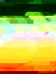 1 (3).jpeg