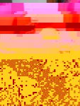 1 (5).jpeg