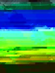 1 (9).jpeg
