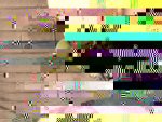 D2DED0F7-00B3-4BF3-8521-5197B5A67A1C.jpeg