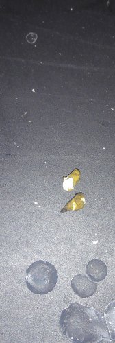 20200723_073515.jpg