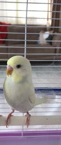 4A6E992B-D982-4ABD-B728-9FFEDF9050E6.jpeg