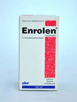 enrolen-10.jpg