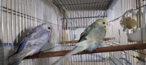 IMG20221021001023.jpg