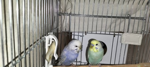 IMG20221021101132.jpg