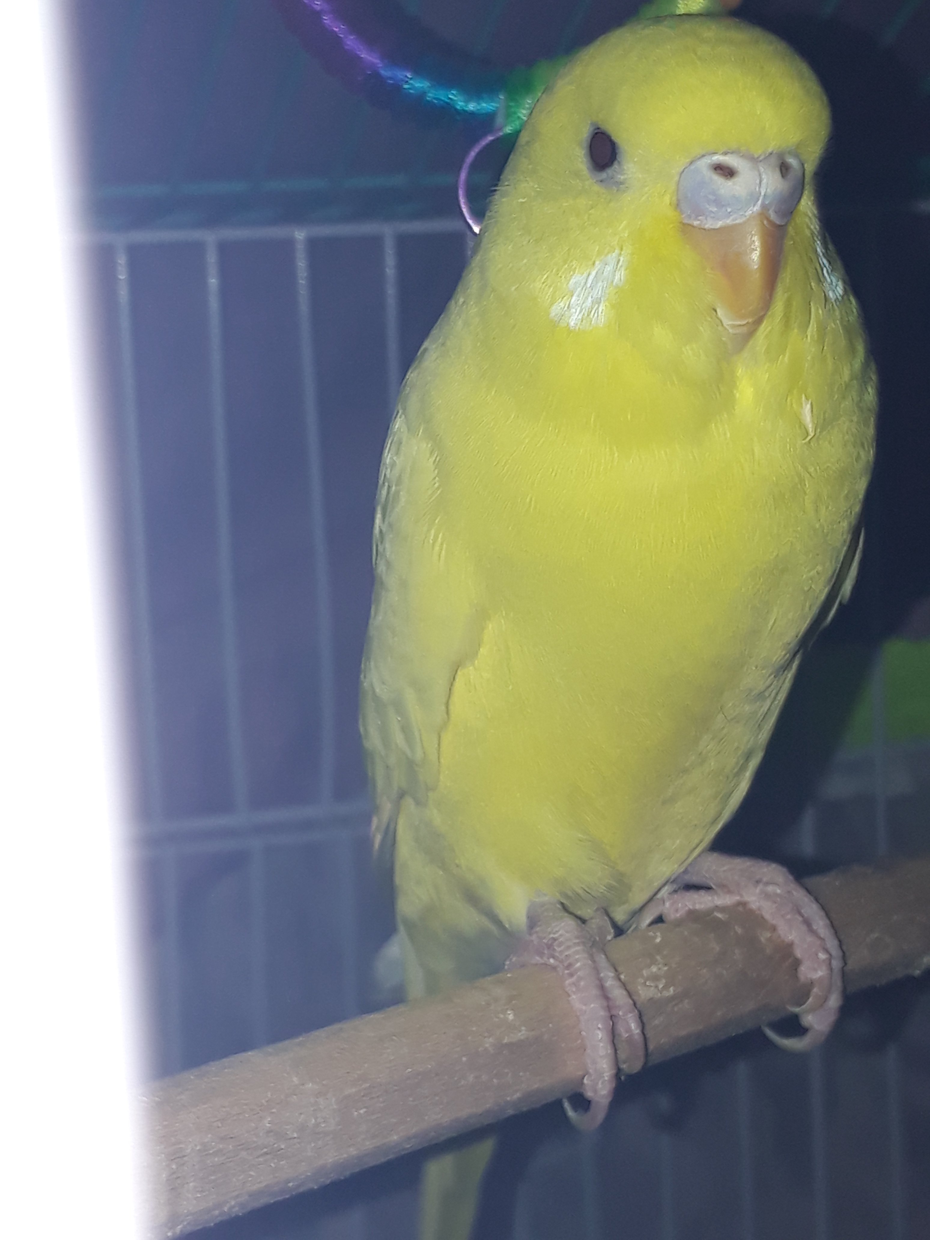 20201105_224129.jpg